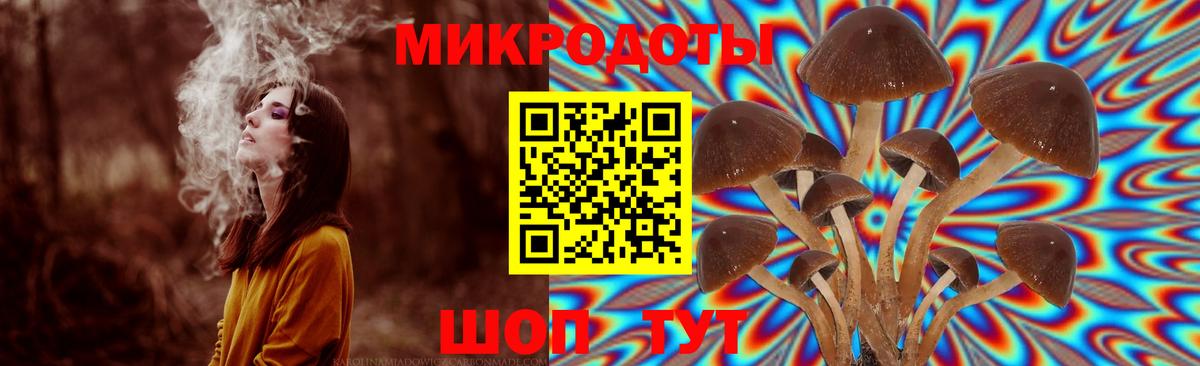 Галлюциногенные грибы GOLDEN TEACHER Гуково