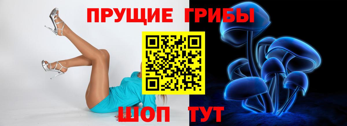 Гуково  Псилоцибиновые грибы Psilocybine cubensis  Вход с VPN 